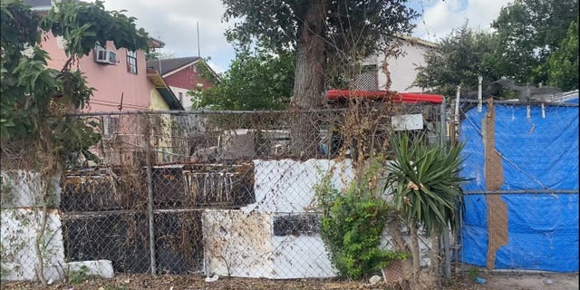 A photo of overgrown plants and a fence in the Indian Hills settlement in South Texas.