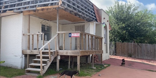 An image of two dogs outside a dwelling in the Indian Hills colonia in southern Texas.