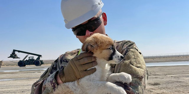 A soldier holds rescued puppy, CJ, in his arms at an undisclosed location in the Middle East. (Paws of War)