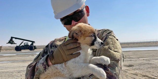 A soldier holds rescued puppy, CJ, in his arms at an undisclosed location in the Middle East. (Paws of War)