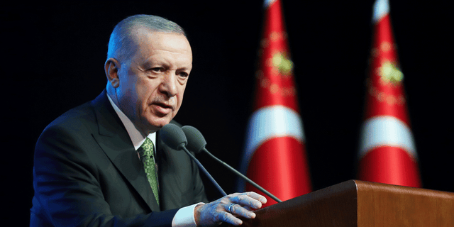 Eine Sprecherin des türkischen Präsidenten Recep Tayyip Erdogan sagte, Washington stelle Forderungen bezüglich des Kampfjet-Deals. "Endlos." 