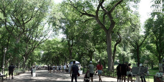 Central Park visitors walk around the before Father's Day weekend.