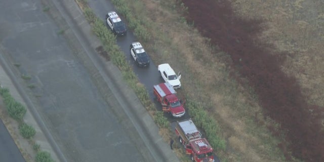 Antonia Mendoza Chavez, 52, and her two dogs, Chubby and Luna, were killed in the lightning strike, authorities said.
