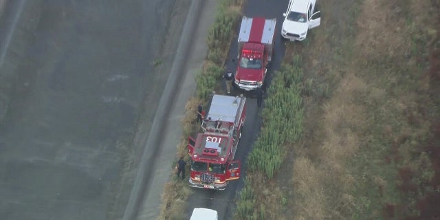 Le coup de foudre mortel a été signalé à 8 h 50 près de la rivière San Gabriel à Pico Rivera, ont annoncé les autorités.
