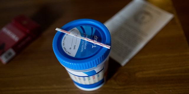 At a halfway house for recovering addicts, supervisors who are in recovery themselves use a fentanyl strip to test for drugs in the urine of a fellow resident March 22, 2019. 