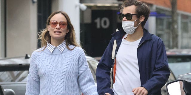 Harry Styles and Olivia Wilde went public with their relationship in January 2021.