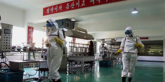 Health officials of the Pyongyang Sports Goods Factory disinfect the floor of a work place in Pyongyang, North Korea on June 14, 2022. The red banner says "Economy means increased production and patriotism." Only a month after North Korea acknowledged a COVID-19 outbreak was sickening its people, the country may be preparing to declare victory. The daily updates from state-controlled media say cases are plummeting. Its propaganda insists North Korea has avoided mass deaths despite desperately poor health care and what outsiders see as a long record of ignoring its people’s suffering. (AP Photo/Cha Song Ho, File)