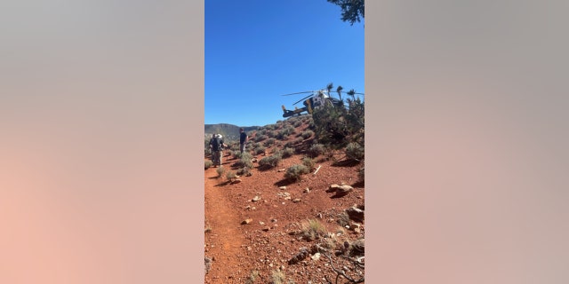 Ill hikers are rescued by a ranger helicopter in the Grand Canyon in mid-May.