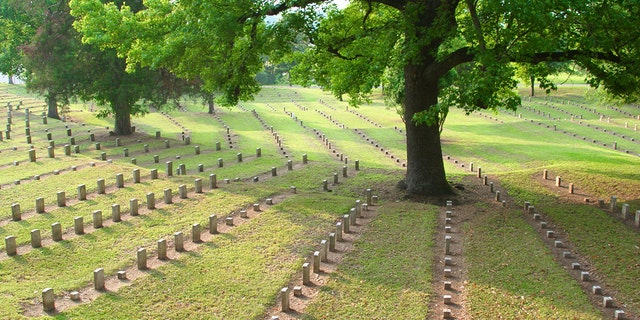 In Mississippi: Vicksburg National Military Park and Vicksburg National Cemetery. 