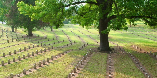 In Mississippi: Vicksburg National Military Park and Vicksburg National Cemetery.