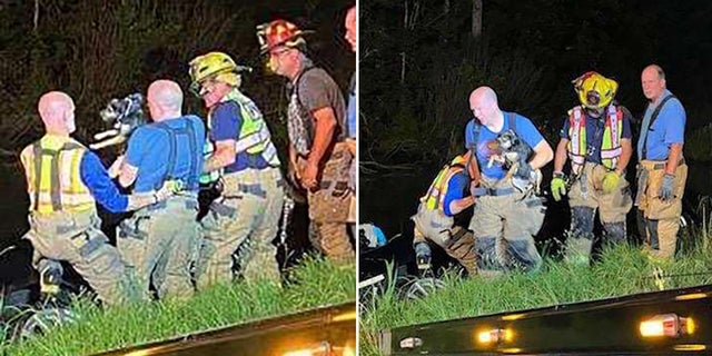 Rescuers said the dog did not suffer any injuries after spending 20 minutes trapped inside the overturned and partially submerged vehicle.