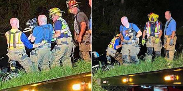 Rescuers said the dog did not suffer any injuries after spending 20 minutes trapped inside the overturned and partially submerged vehicle.