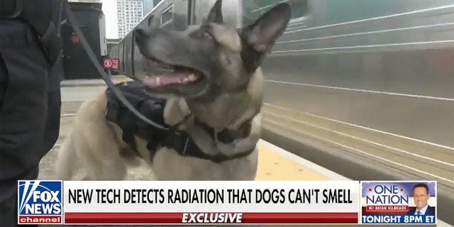 The NYPD's K9 unit is using new technology that detects radiation and other biological or chemical agents, Fox News reported exclusively. 