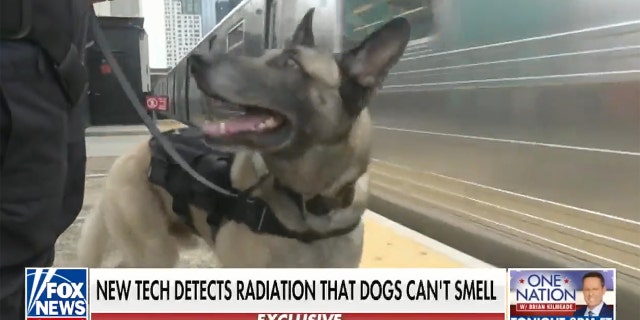 The NYPD's K9 unit is using new technology that detects radiation and other biological or chemical agents, Fox News reported exclusively.