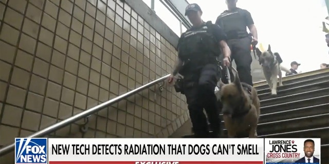 An NYPD K9 team on patrol is shown entering a New York City subway.