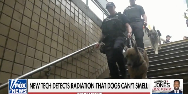 A NYPD K9 team on patrol is shown entering a New York City subway. 