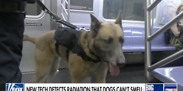 A dog from the New York City Police Department's K9 unit at work - and equipped with a slick new harness - on the subway system.