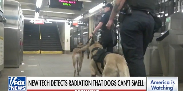 Members of the NYPD are able to track the readings coming from the dogs' harnesses — and respond in real time.  