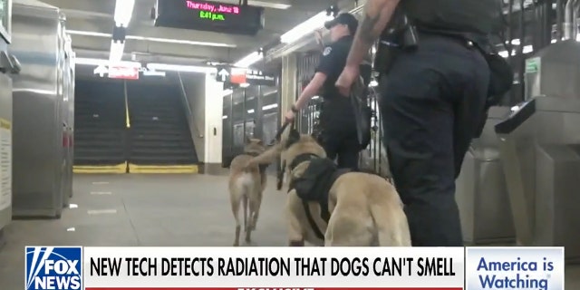 NYPD members can track dog harness readings — and respond in real time.