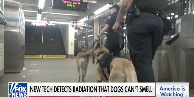 Members of the NYPD are able to track the readings coming from the dogs' harnesses — and respond in real time.  