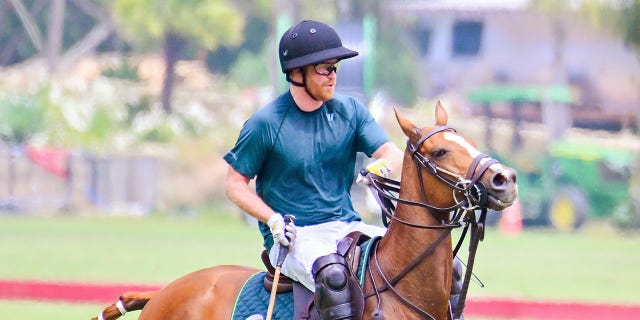 CARPINTERIA, CA - JUNE 10: Prince Harry, Duke of Sussex is seen playing polo on June 10, 2022 in Carpinteria, California. (Photo by MEGA/GC Images)