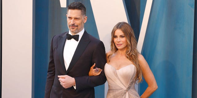 Vergara married Joe Manganiello after just six months of dating in November 2015.