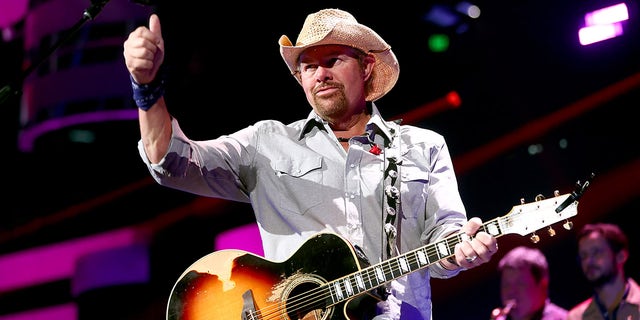 Toby Keith announced he was battling stomach cancer for the last six months, but revealed he would see fans 