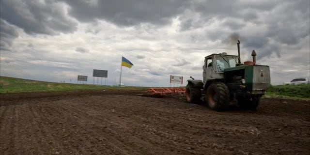 A tractor at work in Ukraine, which, together with Russia, made up 30% of the world's grain exports  before the war.