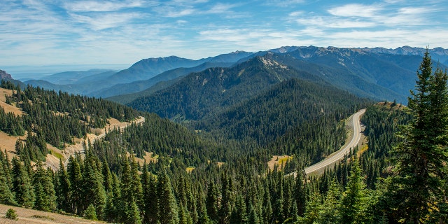View from a hiking trail on Hurricane Ridge of the Hurricane Hill Road on the Olympic Peninsula, Olympic National Park in Washington State