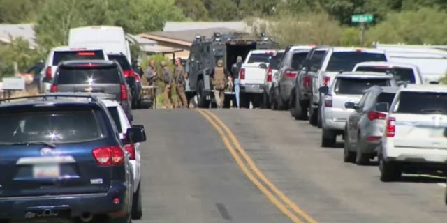 No details were released about what led to the deputy's shooting while he tried to apprehend a theft suspect on Tuesday in Cordes Lake, Arizona.