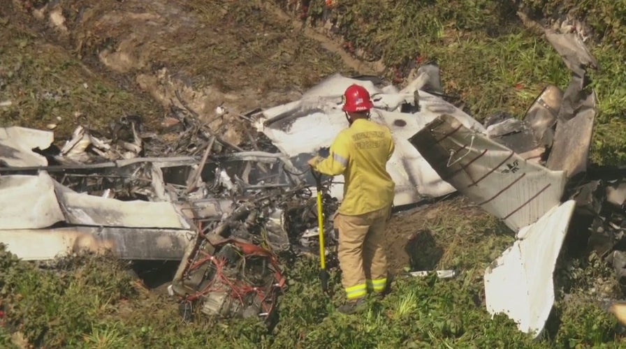California plane crashes in strawberry field, killing pilot