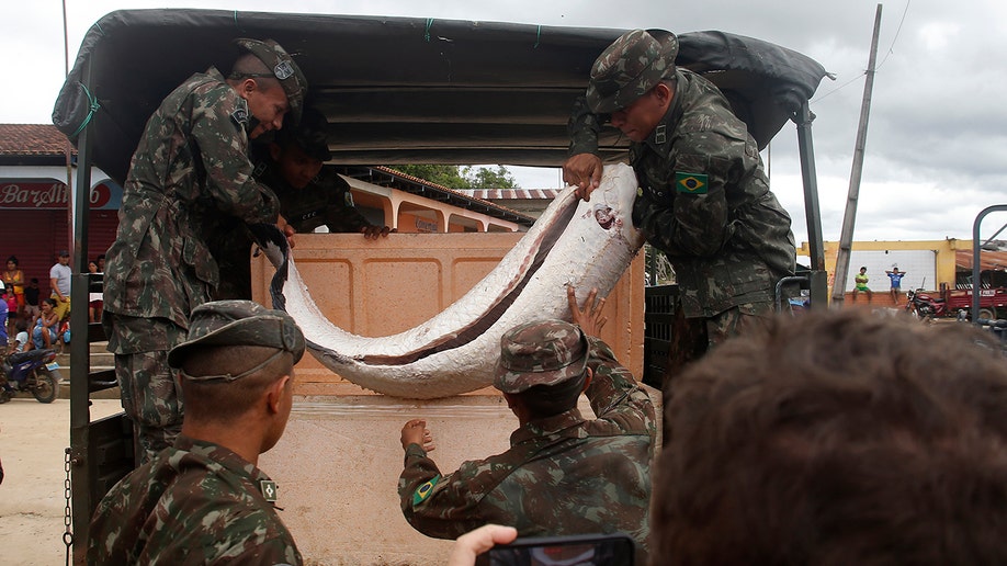 Brazil army soldiers with seized fish