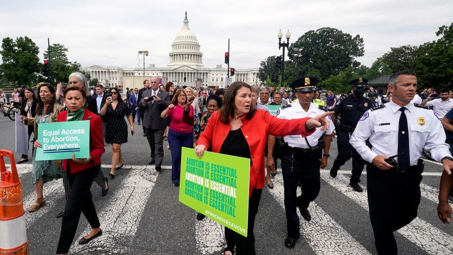 Supreme Court Overturns Roe V. Wade: Photos Of Protesters, Crowds ...