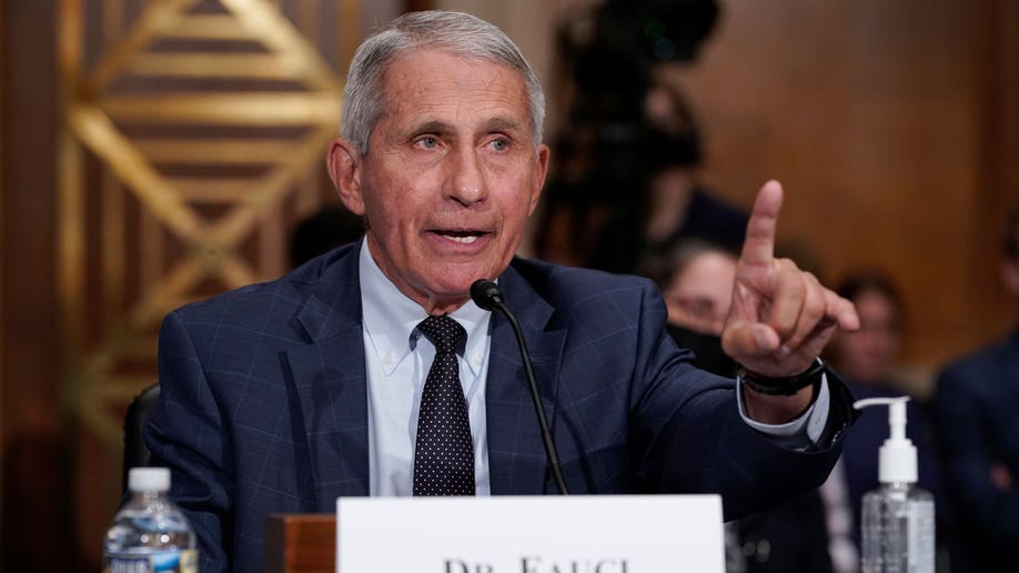 Dr. Anthony Fauci debates Rand Paul