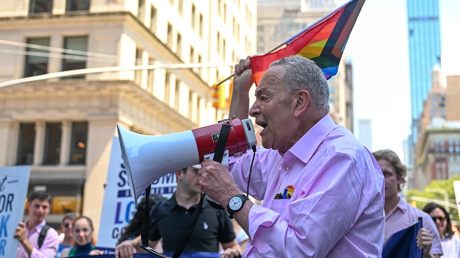 Sen. Schumer marchers in Pride parade