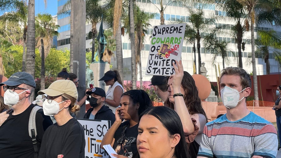 Protestors Los Angeles