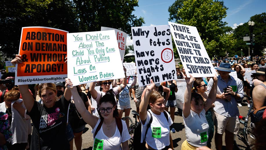 Pro-choice protesters