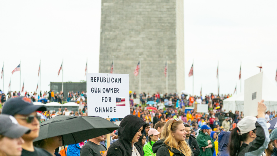 Rally-goer holding a 'Republican gun owner for change' sign