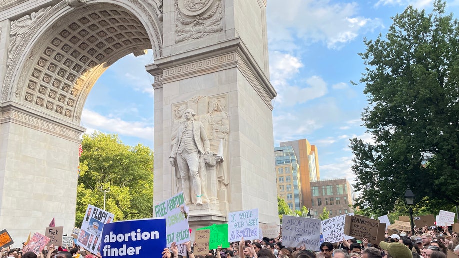 Protestors Washington Square