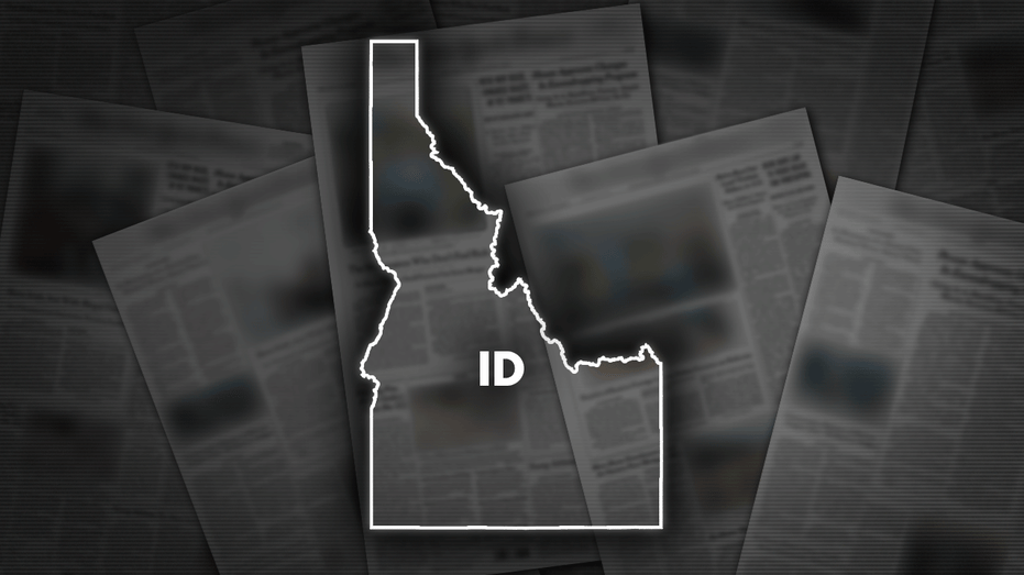 2-year-old boy in Idaho taken by non-custodial father, police say