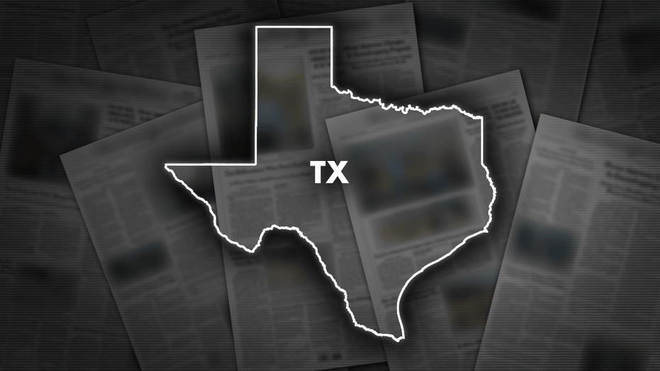 87-year-old pilot dies in Texas plane crash while aborting landing