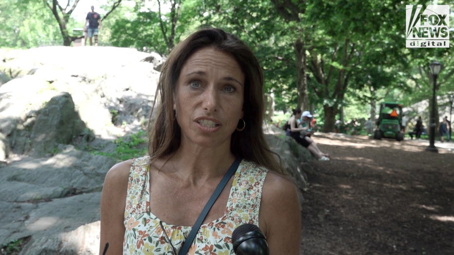 Central Park visitors on the impact of higher prices