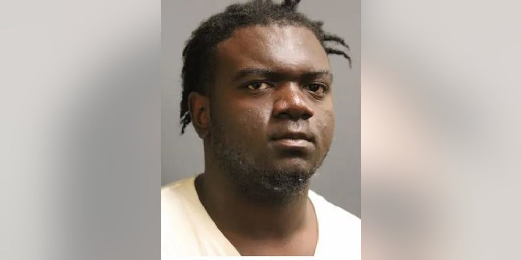 Chicago-area man charged in killing of dad shot in front of daughter while playing Pokemon Go - Vimarsana News