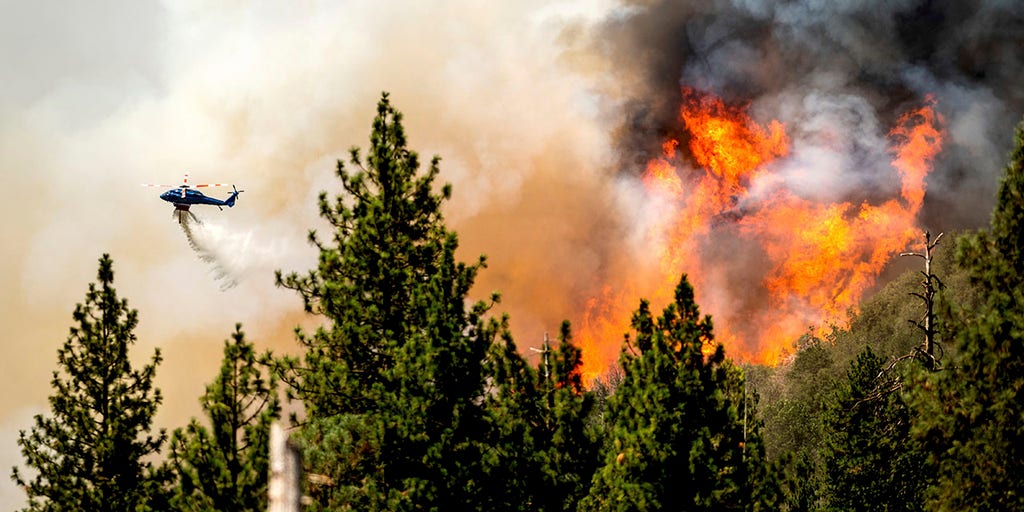 Oak Fire in California grows to 18K acres, the state's largest wildfire of 2022 - Vimarsana News