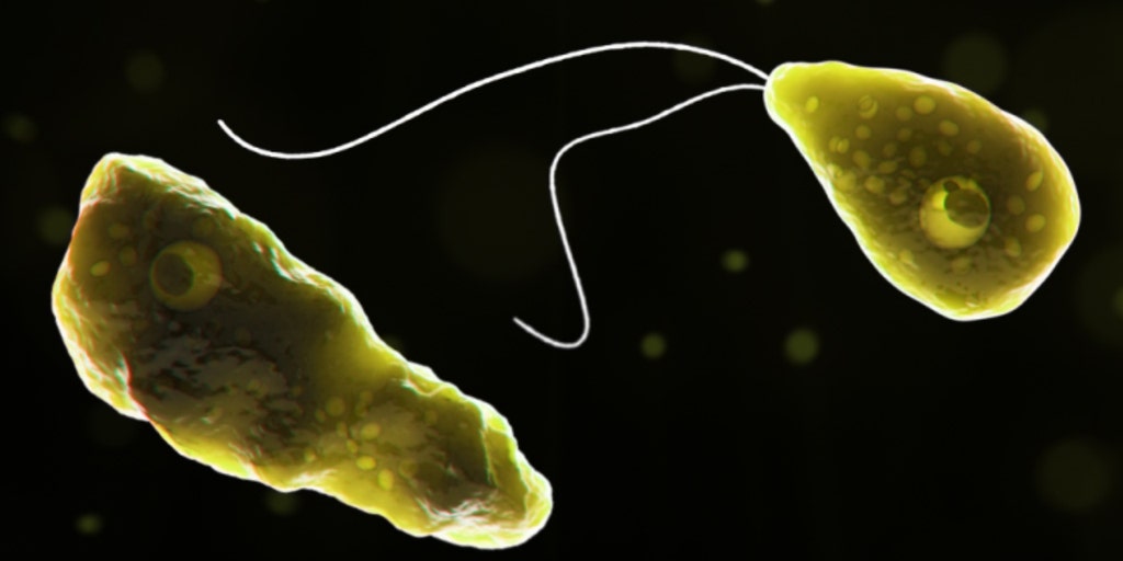CDC confirms Nebraska child died from 'brain-eating amoeba' - Vimarsana News