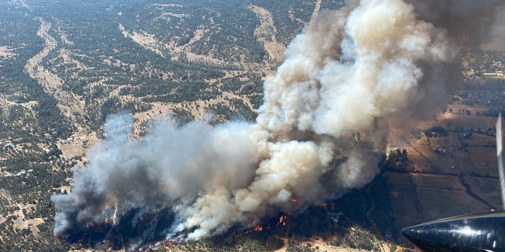 California wildfire destroys 12 structures, forces evacuations - Vimarsana News