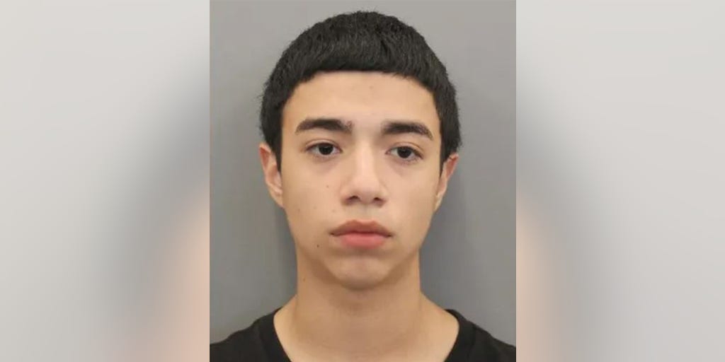 Texas teen arrested in deadly shooting of 14-year-old robbed of shoes, police say - Vimarsana News