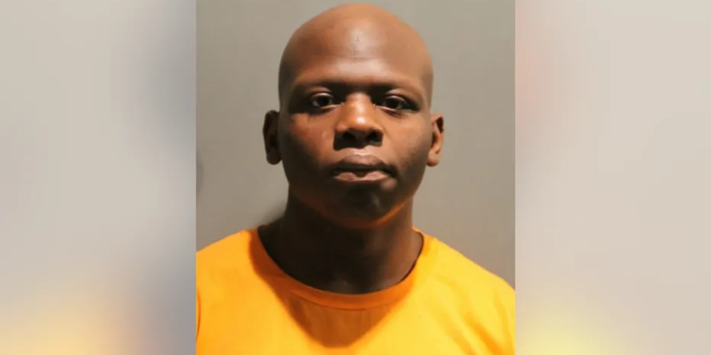 Chicago man accused of killing his teenage sister, says partially assembled gun accidentally went off - Vimarsana News