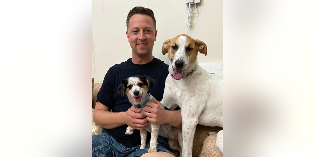 US Navy sailors reunite with the dogs they rescued from near-certain death in the Middle East - Vimarsana News