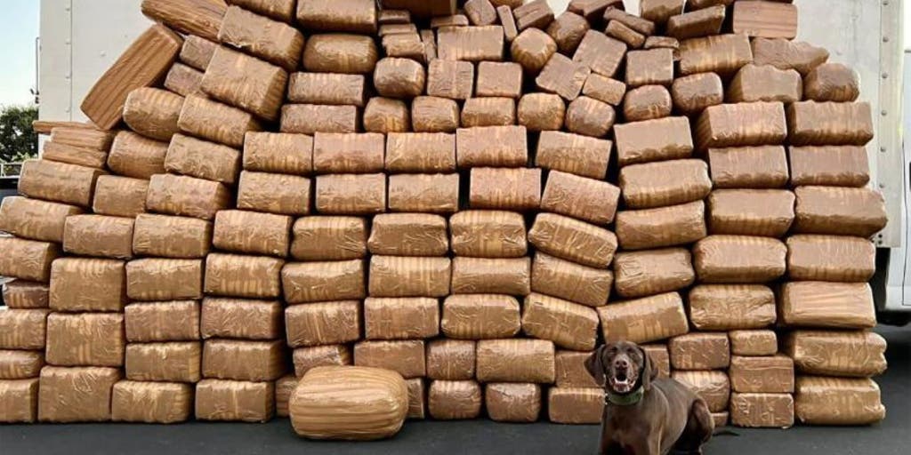 Federal agents in California seize record breaking 5,000 pounds of meth crossing from Mexico - Vimarsana News